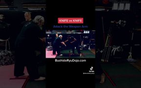 knife fighting martial arts