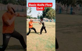 knife fighting martial arts