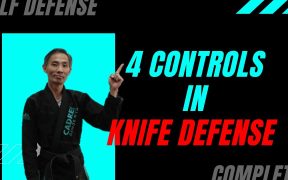 knife fighting martial arts