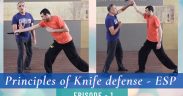 knife fighting stance