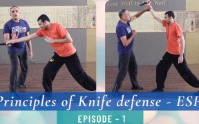 knife fighting stance