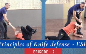 knife fighting stance