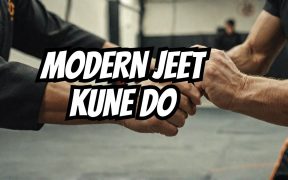 knife fighting martial arts