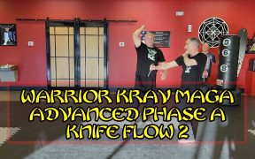 knife fighting martial arts