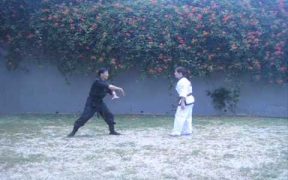 knife fighting martial arts