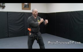 knife fighting stance